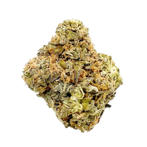 Biscoff $ grade cannabis nug from Kannabu