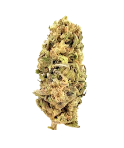 Apple Crisp $ grade cannabis nug from Kannabu