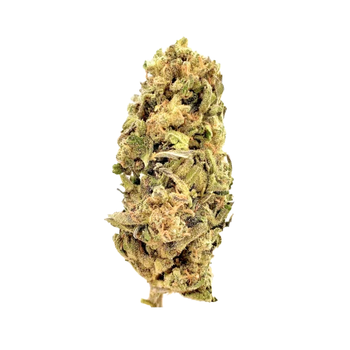 Apple Crisp $ grade cannabis nug from Kannabu