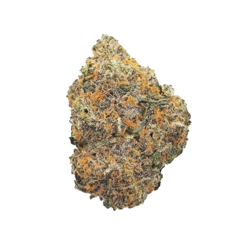 Candyland Peyote $$$$ grade cannabis nug from Kannabu