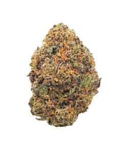 Galactic Runtz $$$$ grade cannabis nug from Kannabu