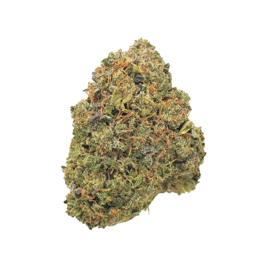 Pink Pine Tar $$$$ grade cannabis nug from Kannabu