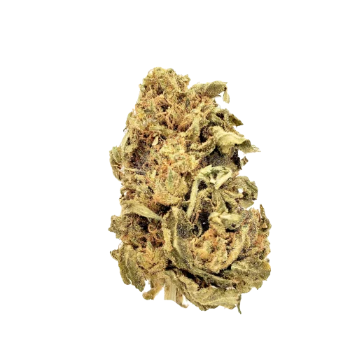Purple Kush $ grade cannabis nug from Kannabu
