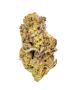 Purple Snow $ grade cannabis nug from Kannabu