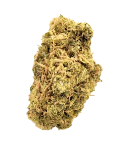 Sour Diesel $ grade cannabis nug from Kannabu