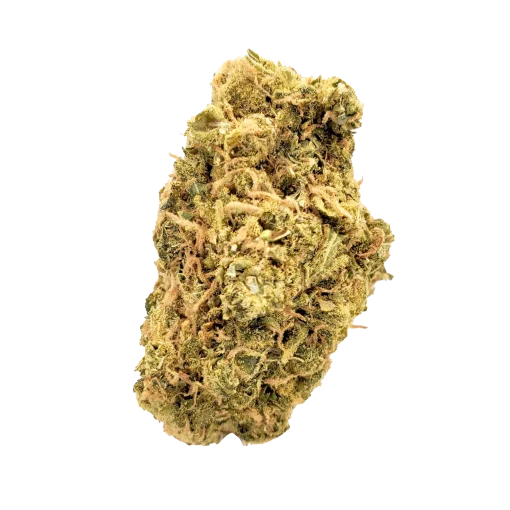 Sour Diesel $ grade cannabis nug from Kannabu