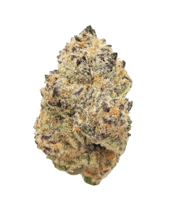 White Blizzard $$$$ grade cannabis nug from Kannabu